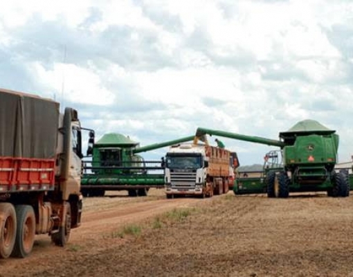 Quarentena em cidade de MT poderia afetar escoamento da safra de soja
