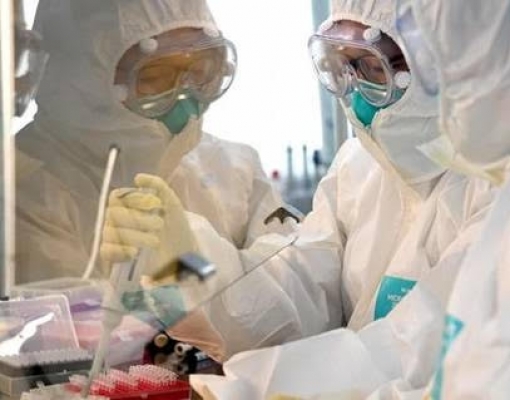 Pandemia de coronavírus pode revolucionar divulgação científica