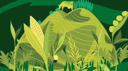 O agronegócio responde por 21,1% do PIB brasileiro