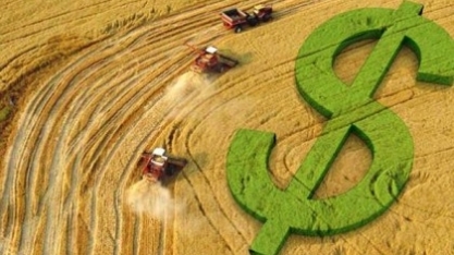 VBP é estimado em R$ 683,2 bilhões para 2020 