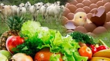 Coronavírus pode causar dano estrutural a setor de alimentos e agro