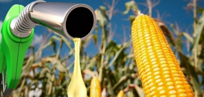 MT: Etanol de milho entra nos estudos para o levantamento sucroalcooleiro 