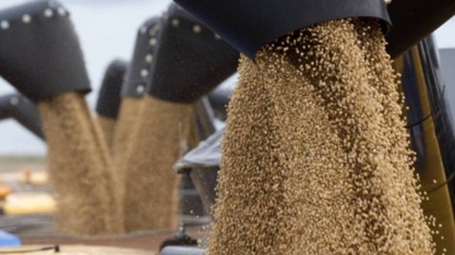 Exportação de grãos não deve ser afetada por coronavírus, diz Anec 