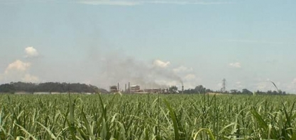 Mercado espera etanol mais barato nos postos após queda de 9% nas usinas