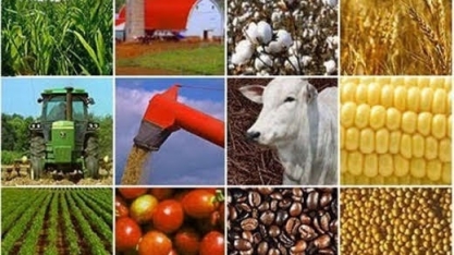 Preços das commoditie devem permanecer fracos com menor atividade na China