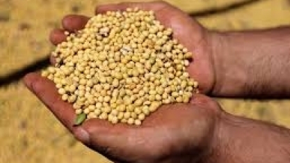 Indústria e produtor de soja enfrentam alta no frete devido a coronavírus