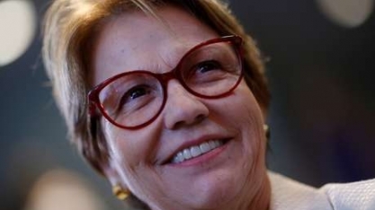 Covid-19: Governo e agricultores garantem que produção seguirá normal 