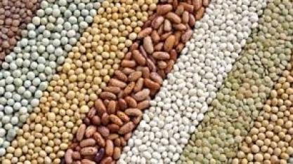 Conab: 6ª estimativa para safra 2019/20 indica produção recorde de 251,9 mi/t 