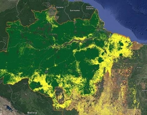 Sob Bolsonaro, multas ambientais caem 34% para menor nível em 24 anos