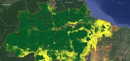 Sob Bolsonaro, multas ambientais caem 34% para menor nível em 24 anos