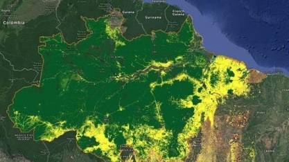 Sob Bolsonaro, multas ambientais caem 34% para menor nível em 24 anos