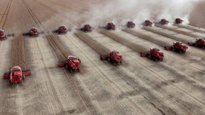 FCStone eleva safra de soja a 124,2 mi t; também vê recorde para milho