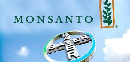Cade investiga supostas condutas anticompetitivas da Bayer e Monsanto