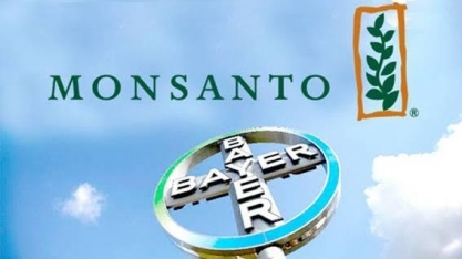 Cade investiga supostas condutas anticompetitivas da Bayer e Monsanto