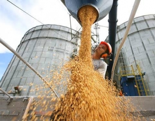 Aprosoja reduz safra de soja do Brasil 19/20 para 120,6 mi t