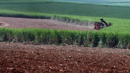 Unica prevê 95 usinas em operação na 1ª quinzena de abril, ante 85 em 2019