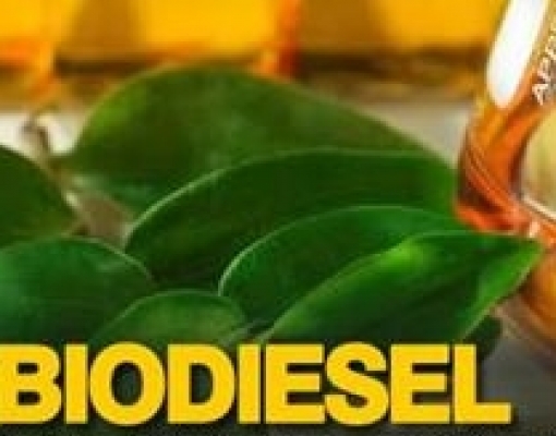 Tendências para o mercado de biodiesel em 2020