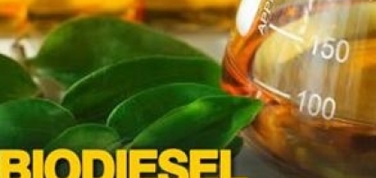 Tendências para o mercado de biodiesel em 2020