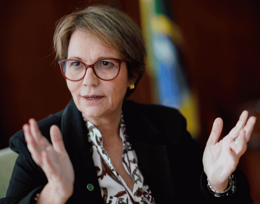 Ministra pede apoio de secretários estaduais para garantir abastecimento