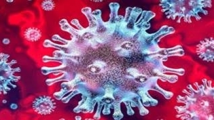 Alguns efeitos do coronavírus podem ajudar exportações do agro