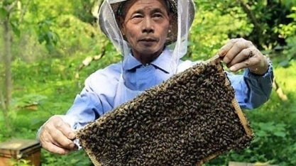 O mel e o fel nas relações Brasil-China