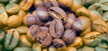 Café: Rabobank eleva previsão de safra em 2020 para 67,5 milhões de sacas 