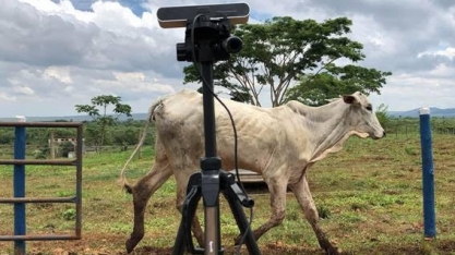 De balança virtual a drone pulverizador, as inovações das startups do agro