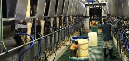 Governo vai investigar alta abusiva do preço do leite com pandemia 
