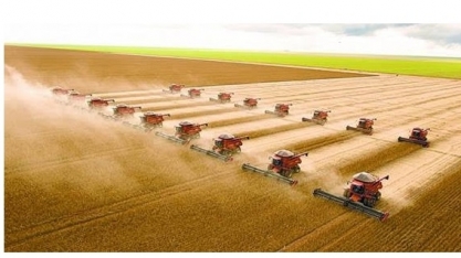 Recorde: Safra 2019/20 deve se confirmar em 252 mi de toneladas