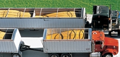 Bunge vê safra escoando sem transtornos apesar de coronavírus