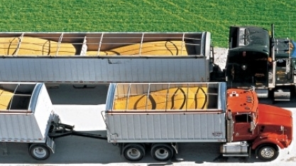 Bunge vê safra escoando sem transtornos apesar de coronavírus