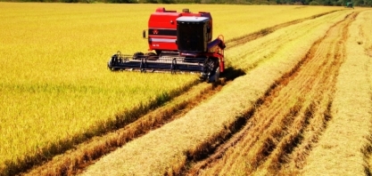 Exportação sobe, e soja poderá atingir recorde de 14 milhões de toneladas