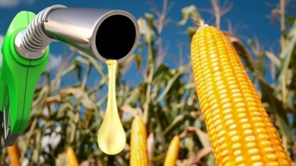 EUA fechará 30 plantas esmagadoras de milho para etanol com crise 