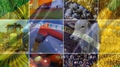 Covid-19 não deve prejudicar fortemente o desempenho do PIB do agronegócio