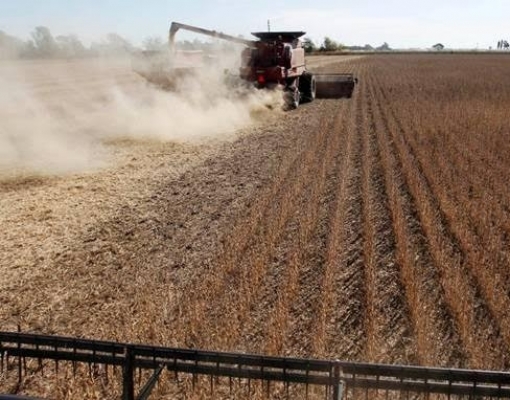 Bolsa de Buenos Aires reduz estimativa para safra de soja para 49,5 mi t