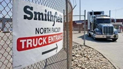 Smithfield hiberna unidade de carne suína nos EUA após 80 casos de vírus