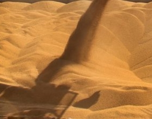 Brasil pode ter novo recorde mensal de exportação de soja em abril