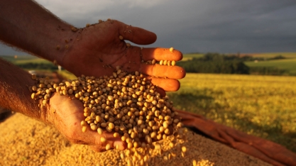 Exportações brasileiras de soja para China caem em março