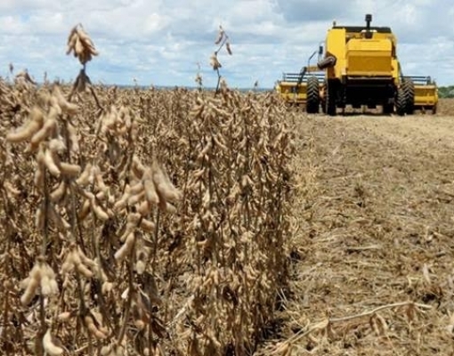 Seca derruba em 45% valor da produção de soja e milho do RS para R$19 bi