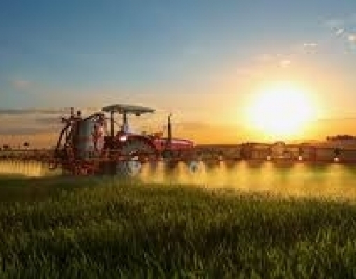 Produção agrícola deve garantir alento para a economia brasileira em 2020 