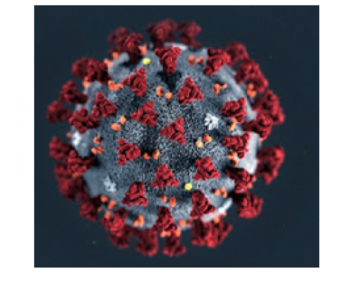 Covid-19:Setores dependentes da demanda doméstica serão mais prejudicados 