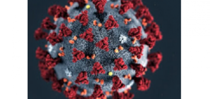 Covid-19:Setores dependentes da demanda doméstica serão mais prejudicados 