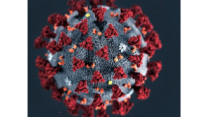 Covid-19:Setores dependentes da demanda doméstica serão mais prejudicados 