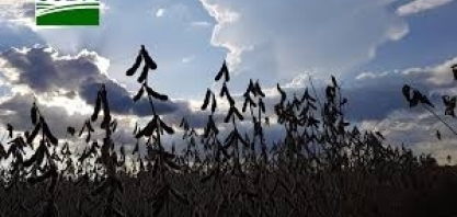 Covid-19: USDA divulgará programa de auxílio aos produtores 