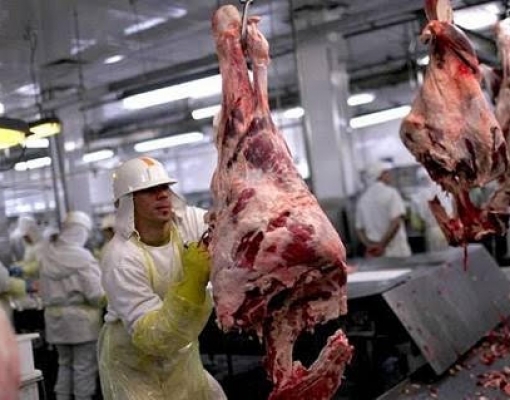 Crise reduz consumo de carne e já paralisa 11 frigoríficos no País