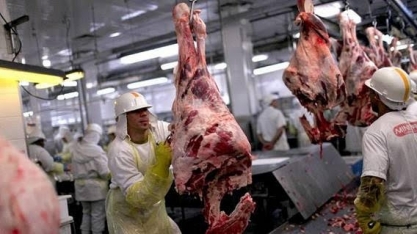Crise reduz consumo de carne e já paralisa 11 frigoríficos no País