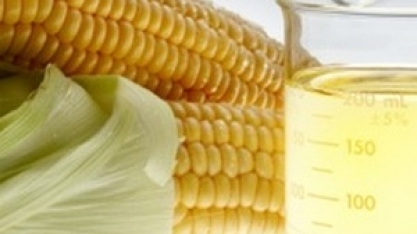 Brasil BioFuels vai produzir etanol de milho em Roraima