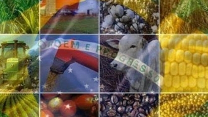 Mesmo com Covid-19, PIB da agropecuária cresce 2,4%, segundo Ipea