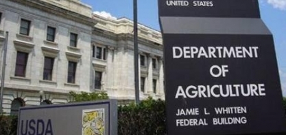 Suínos: EUA discute eutanásia de animais após fechamento de fábricas 