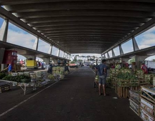 Trigo e hortifrútis podem ser gargalo de oferta no país com o coronavírus